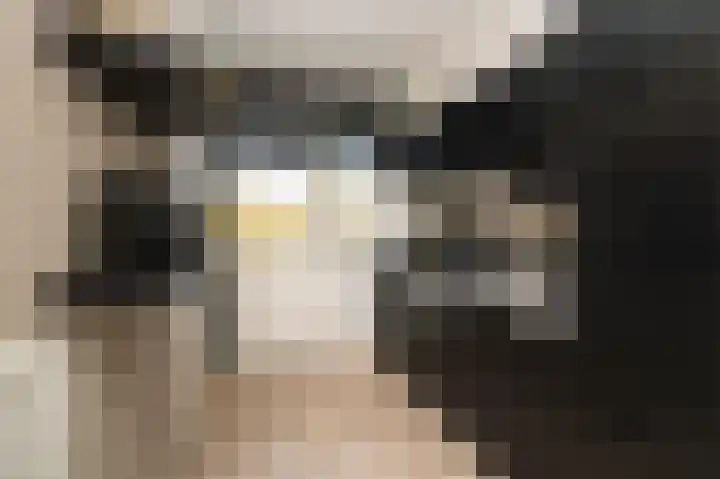 Vogelplantsoen 9 Dieren thumbnail 6