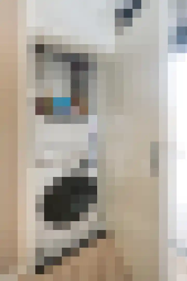 Vogelplantsoen 9 Dieren thumbnail 7