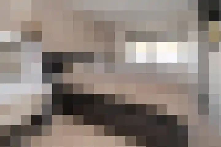 Vogelplantsoen 9 Dieren thumbnail 9