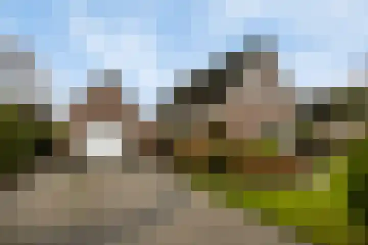 Vogelrijd 4 Fochteloo