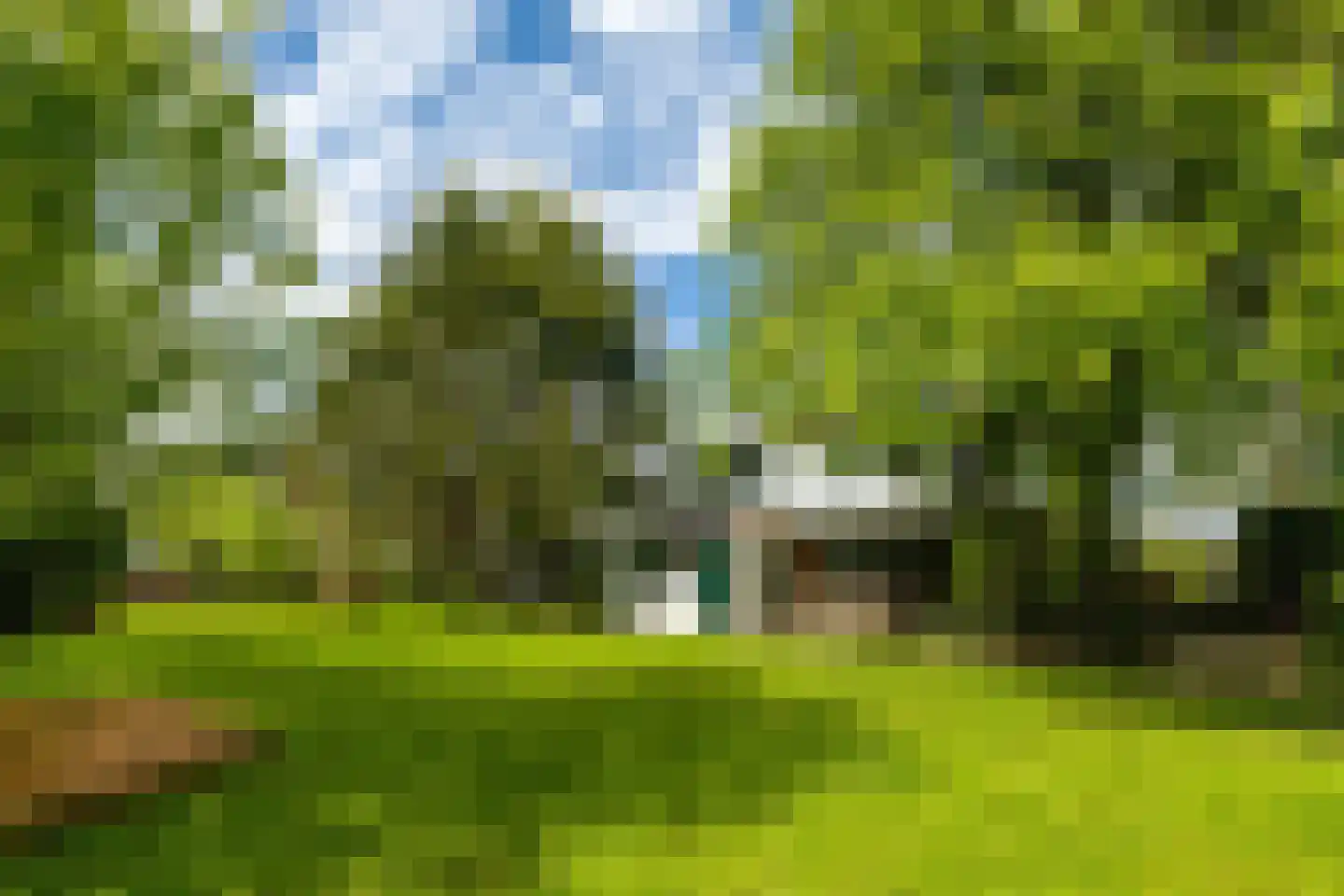 Vogelskamp 1 Warmond thumbnail 10