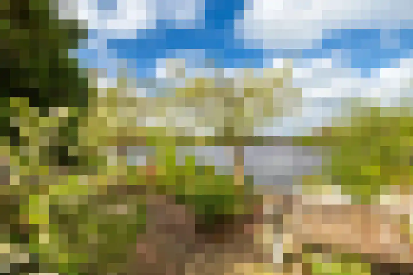 Vogelskamp 1 Warmond thumbnail 11