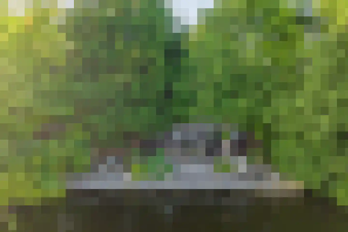 Vogelskamp 1 Warmond thumbnail 12