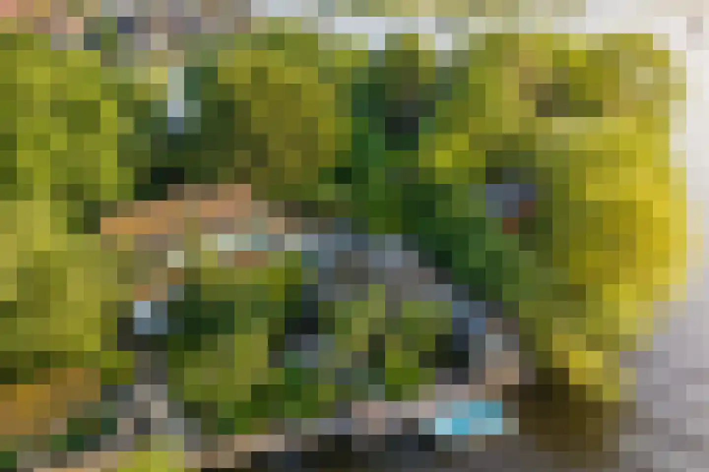 Vogelskamp 1 Warmond thumbnail 13