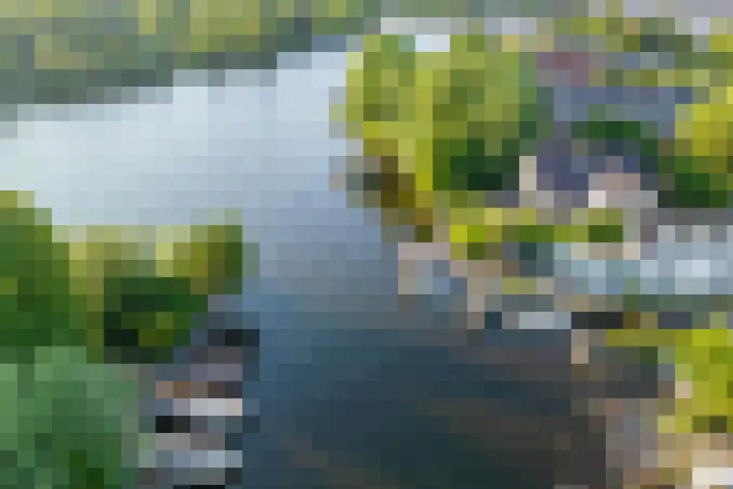 Vogelskamp 1 Warmond thumbnail 15