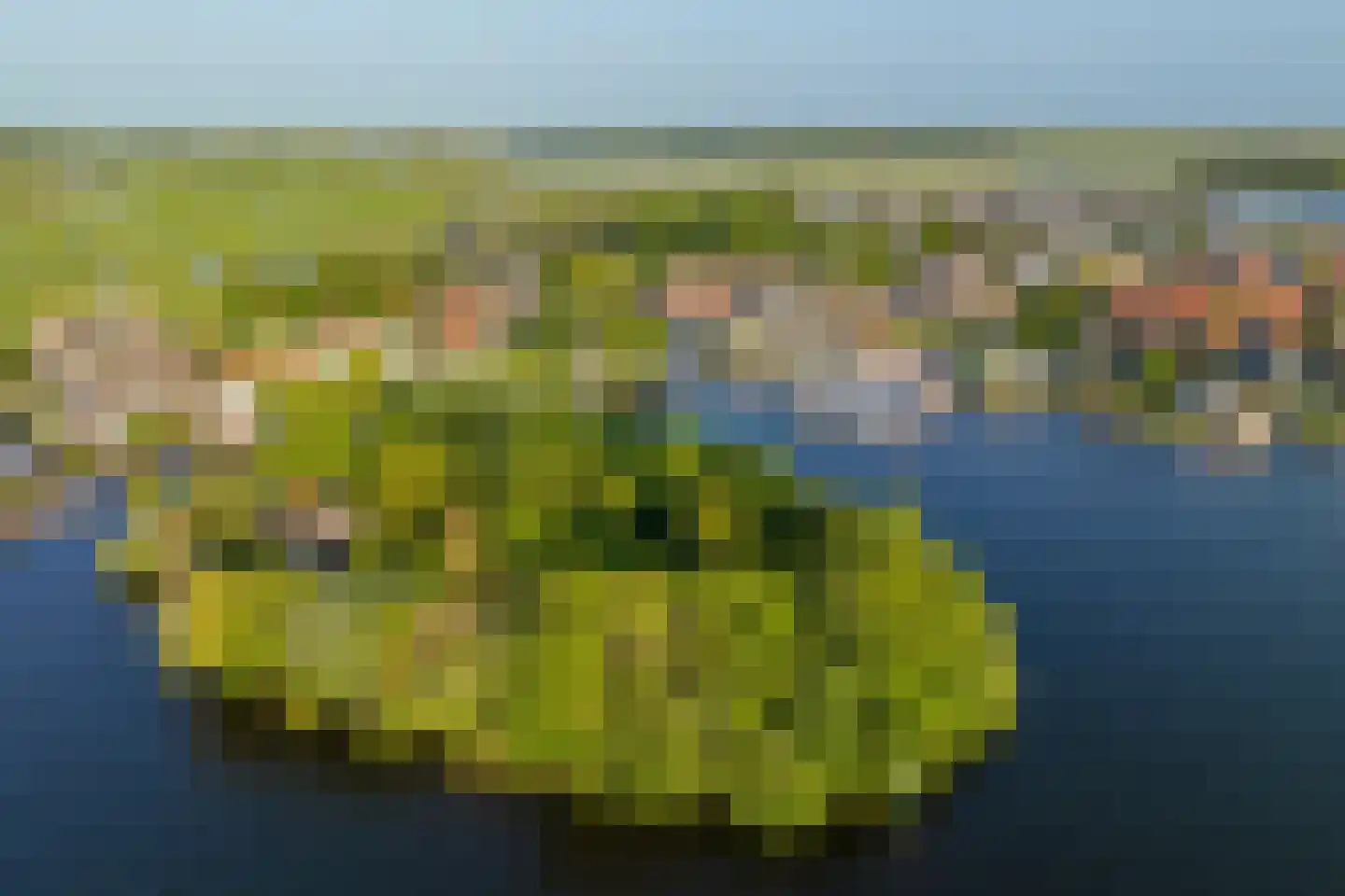 Vogelskamp 1 Warmond thumbnail 16