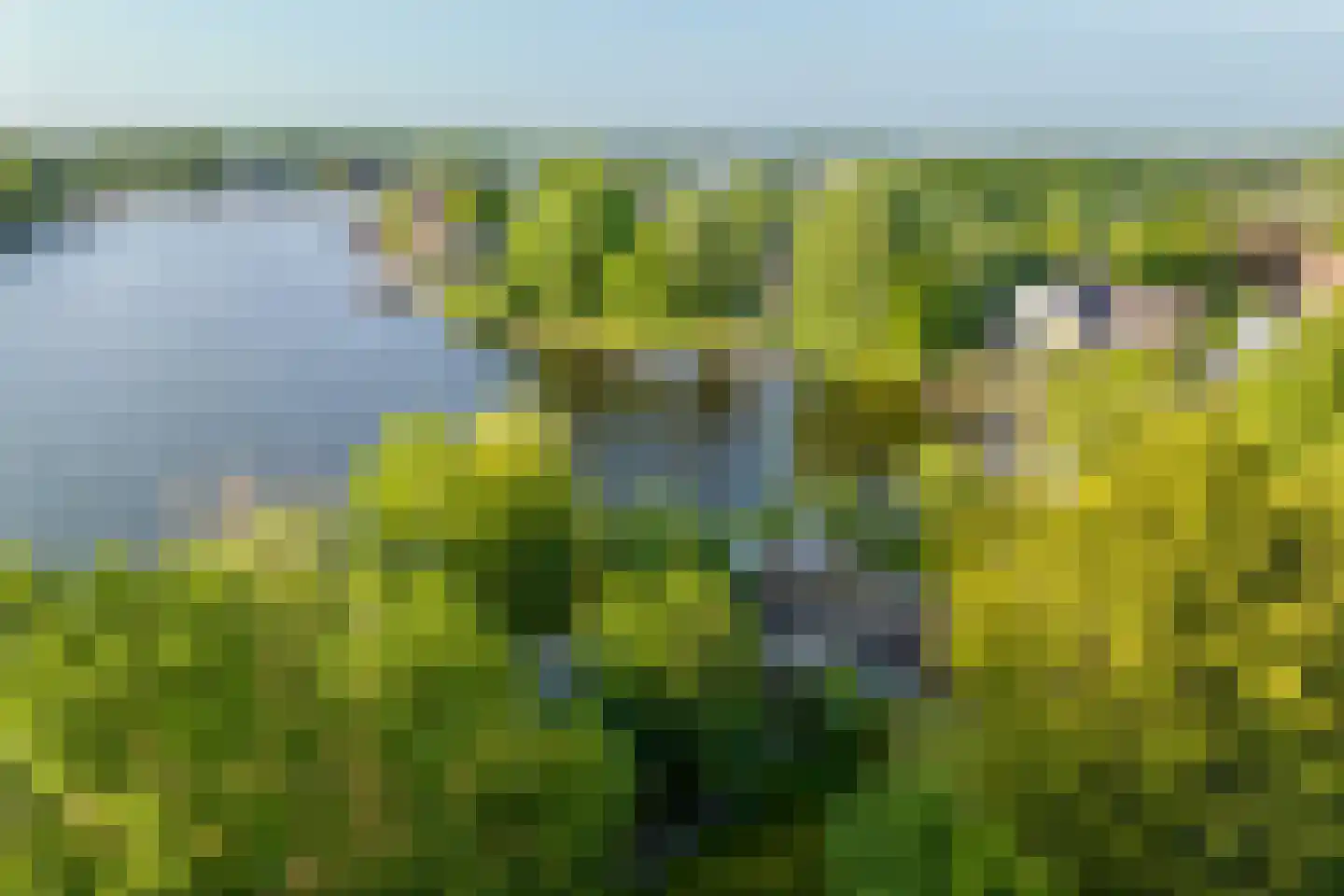 Vogelskamp 1 Warmond thumbnail 18