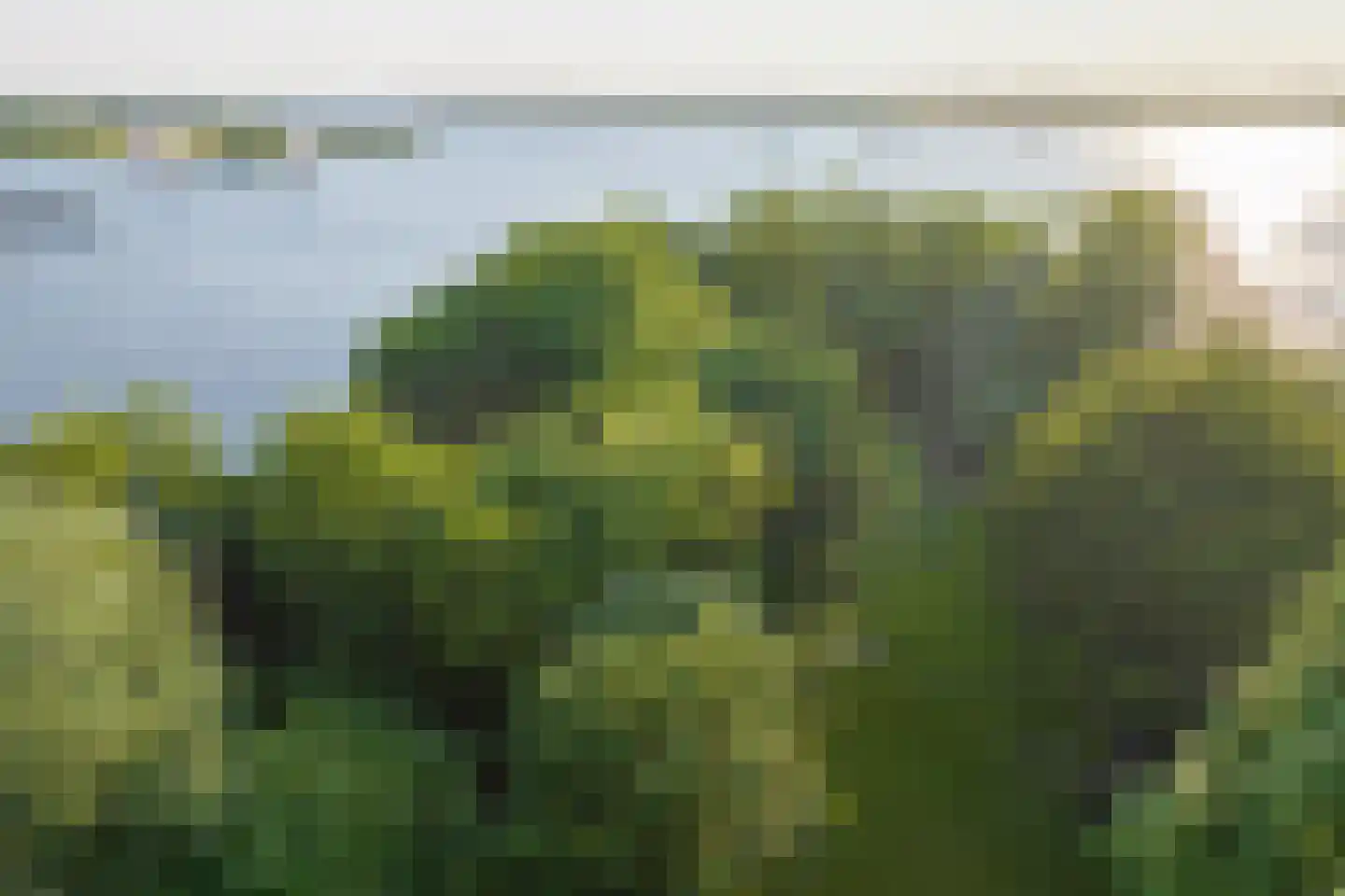 Vogelskamp 1 Warmond thumbnail 19