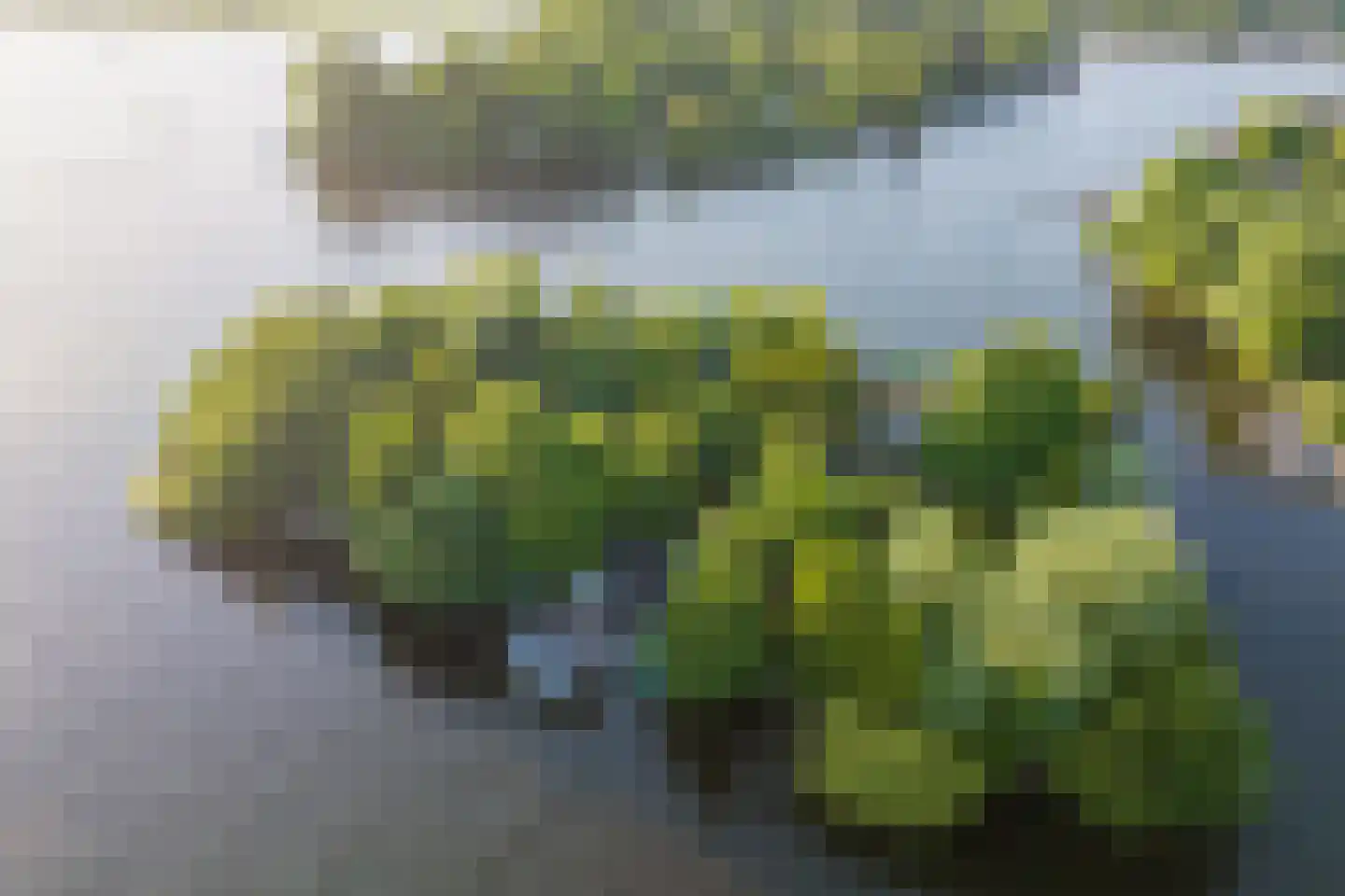 Vogelskamp 1 Warmond thumbnail 20