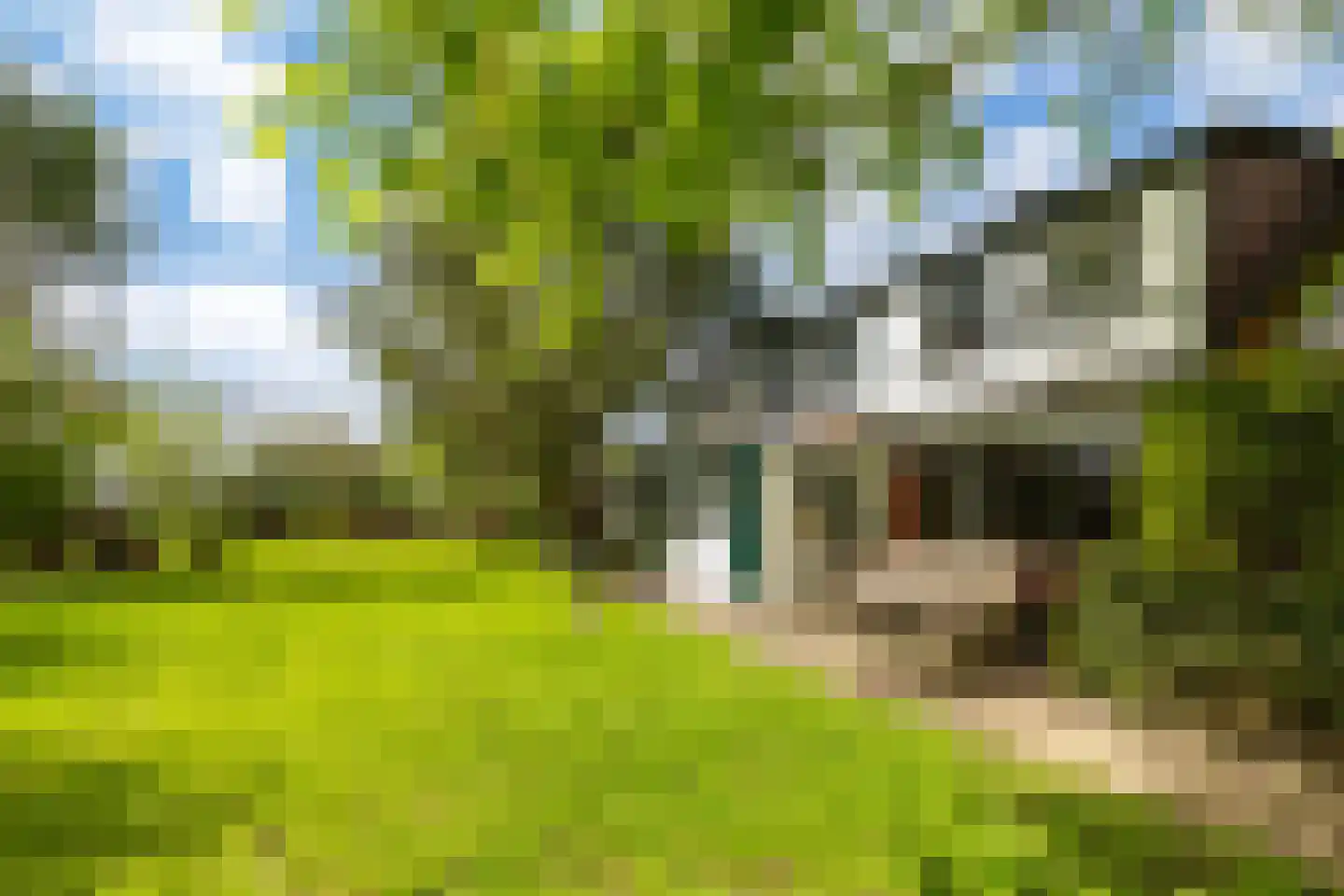 Vogelskamp 1 Warmond thumbnail 4