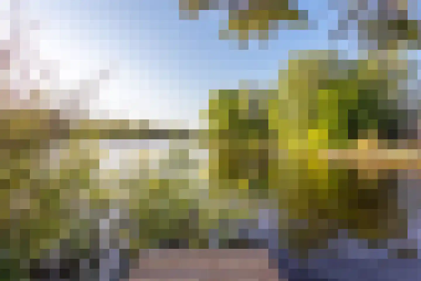 Vogelskamp 1 Warmond thumbnail 5