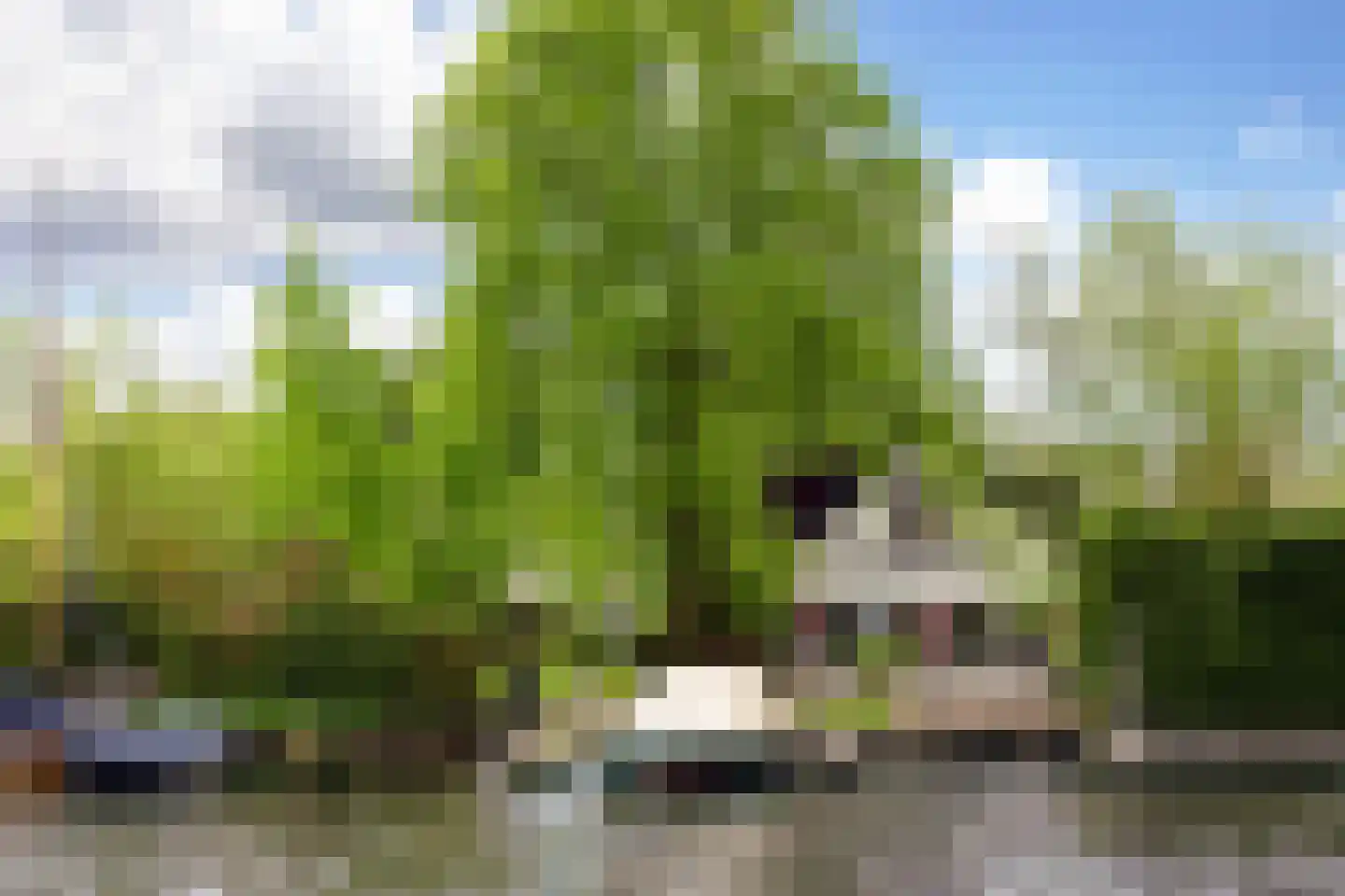 Vogelskamp 1 Warmond thumbnail 7
