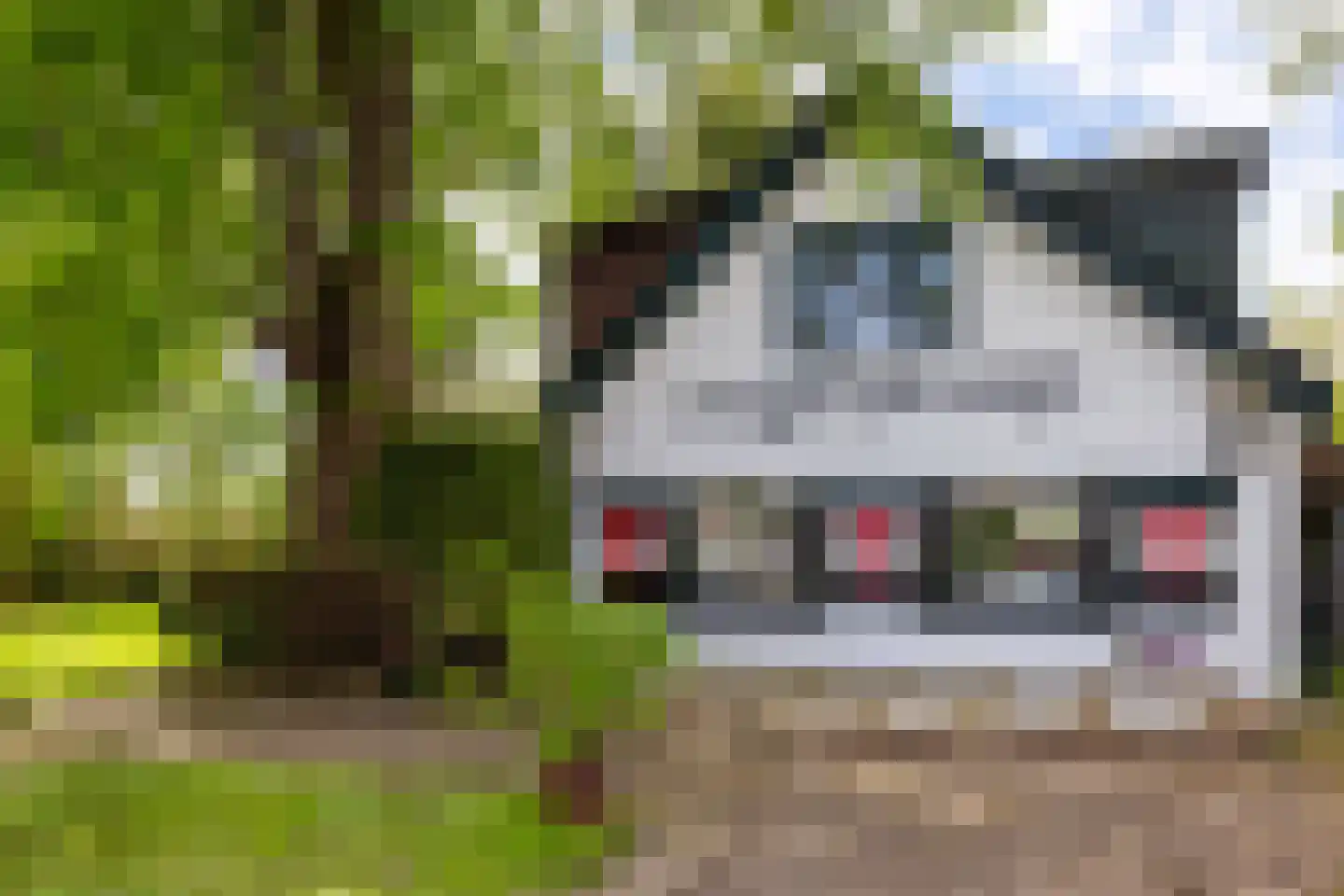Vogelskamp 1 Warmond thumbnail 9