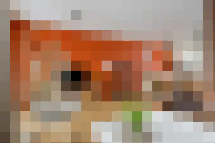 Vogelslag 48 Deventer thumbnail 7