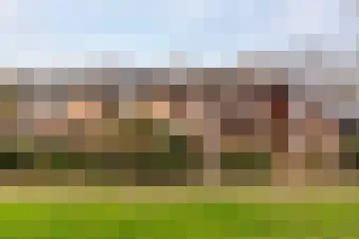 Vogelwaarde 123 in Haarlem