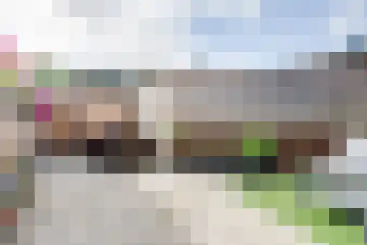 Vogelweg 131 Alkmaar thumbnail 33