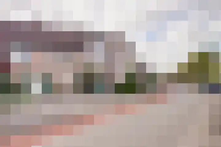 Vogelweg 131 Alkmaar thumbnail 37