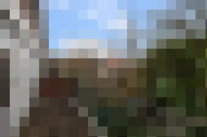 Vogelweg 57 Alkmaar thumbnail 7