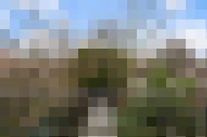 Vogelweg 57 Alkmaar thumbnail 8