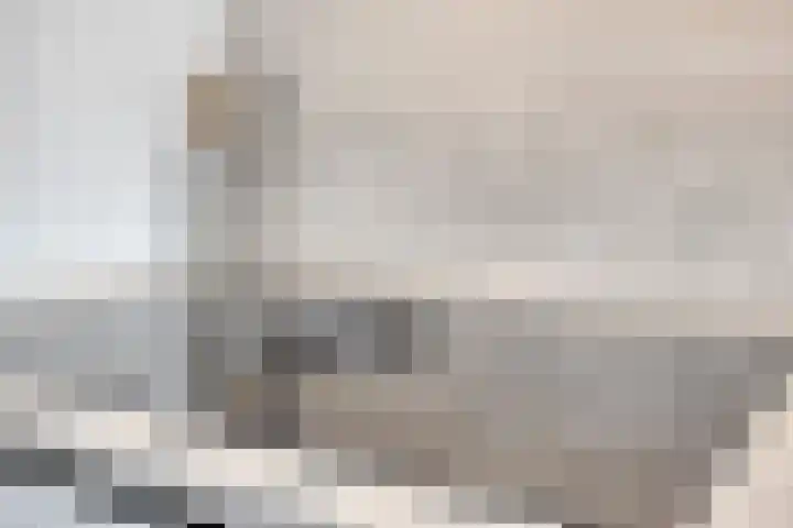 Vogelweide 10 Gemert thumbnail 10