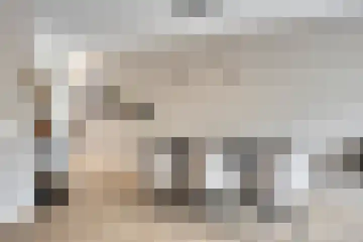 Vogelweide 10 Gemert thumbnail 12