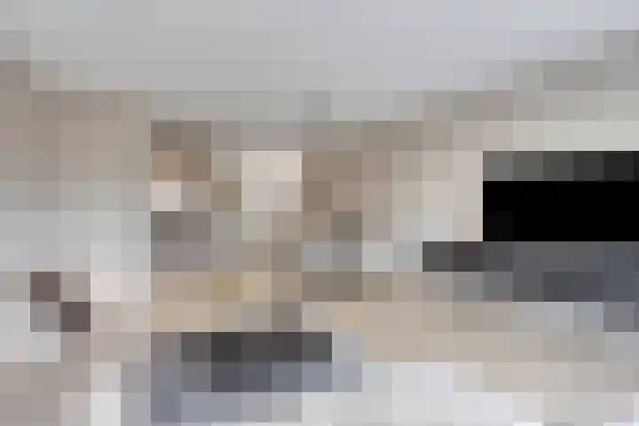 Vogelweide 10 Gemert thumbnail 13