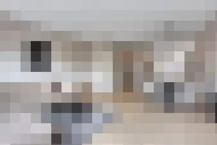 Vogelweide 10 Gemert thumbnail 14