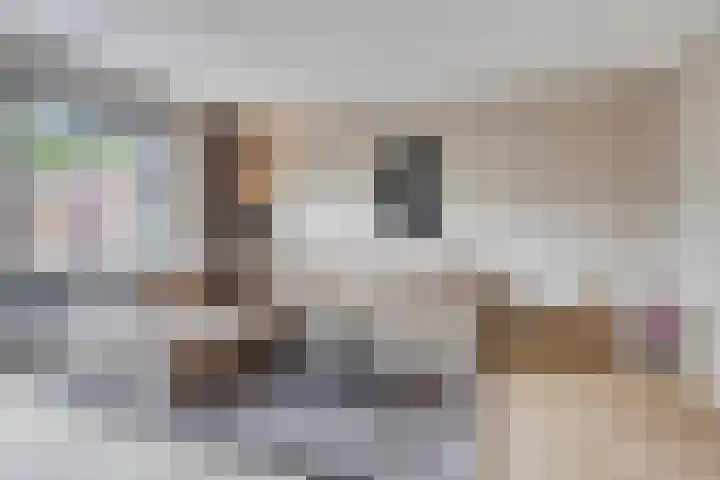 Vogelweide 10 Gemert thumbnail 16