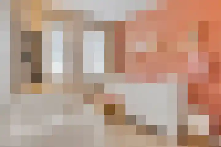 Vogelweide 10 Gemert thumbnail 18