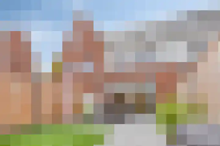 Vogelweide 10 Gemert thumbnail 28