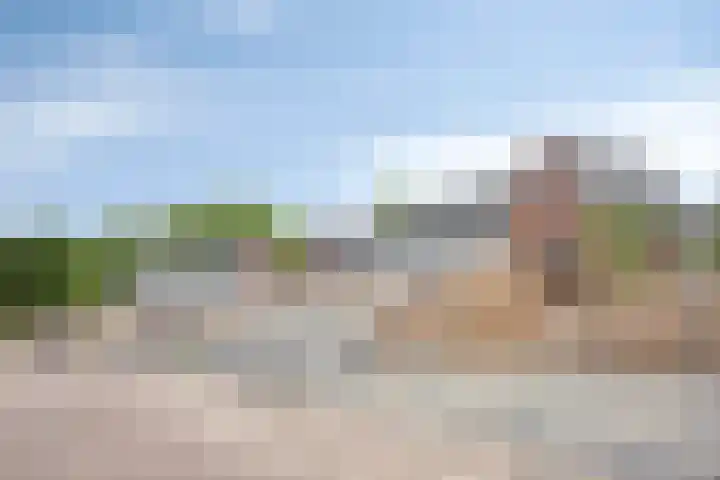Vogelweide 10 Gemert thumbnail 32