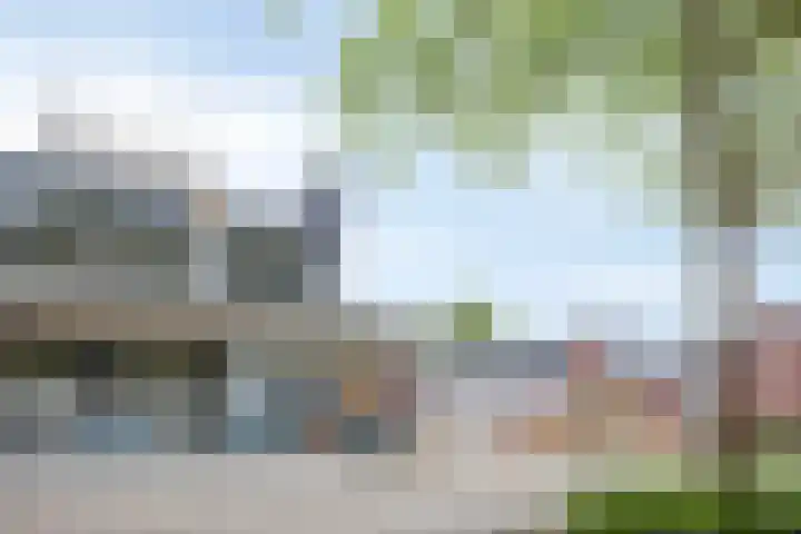 Vogelweide 10 Gemert thumbnail 35