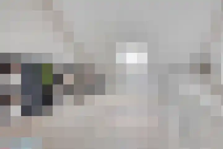 Vogelweide 10 Gemert thumbnail 4