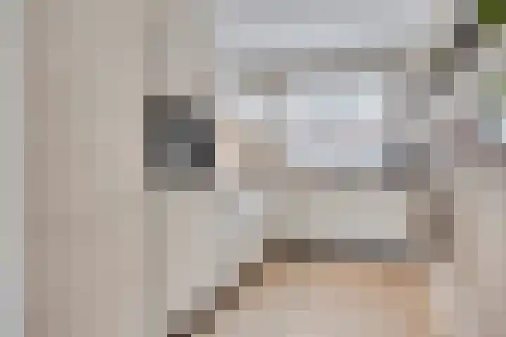 Vogelweide 10 Gemert thumbnail 8
