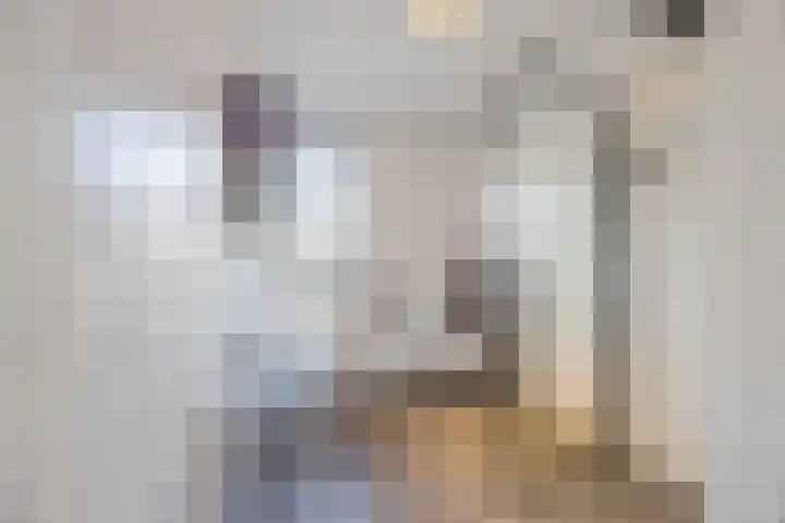 Vogelweide 16 Gemert thumbnail 27