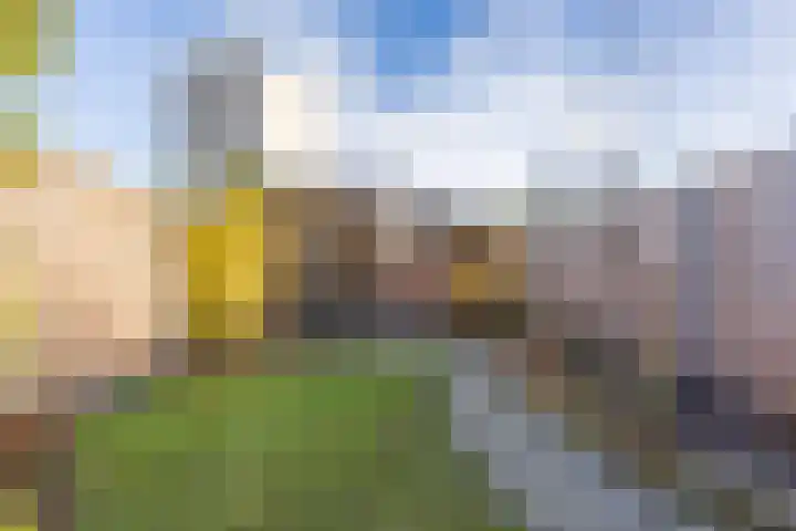Vogelweide 16 Gemert thumbnail 34
