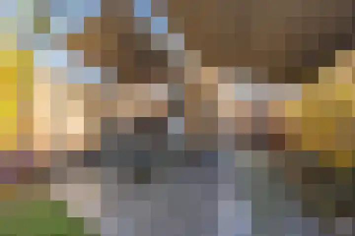 Vogelweide 16 Gemert thumbnail 35