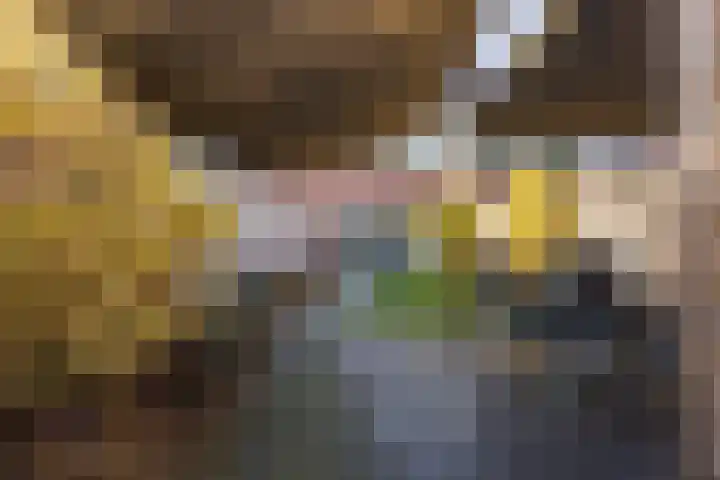 Vogelweide 16 Gemert thumbnail 36