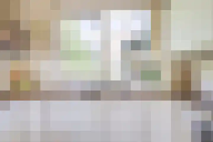 Vogelweide 95 Doorn thumbnail 14
