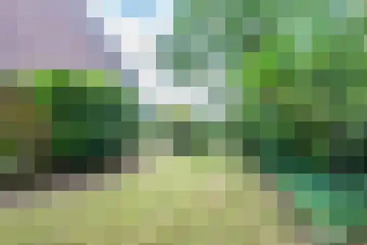 Vogelweide 95 Doorn thumbnail 31