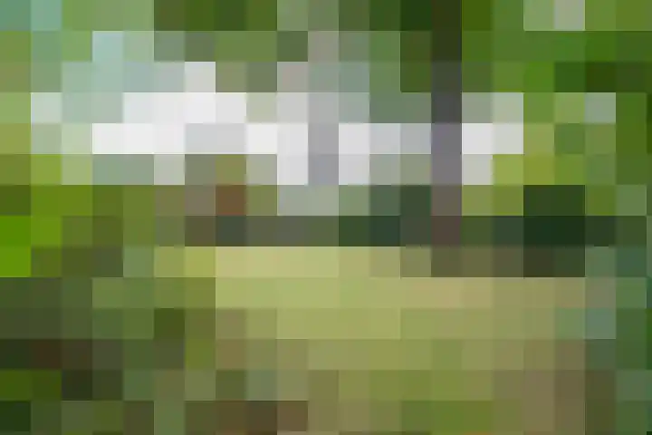 Vogelweide 95 Doorn thumbnail 32