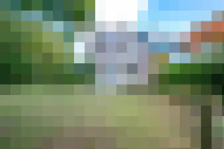 Vogelweide 95 Doorn thumbnail 34