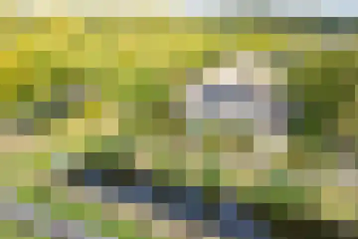 Vogelweide 95 Doorn thumbnail 36