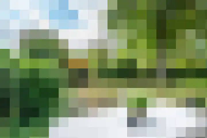Vogelweide 95 Doorn thumbnail 4