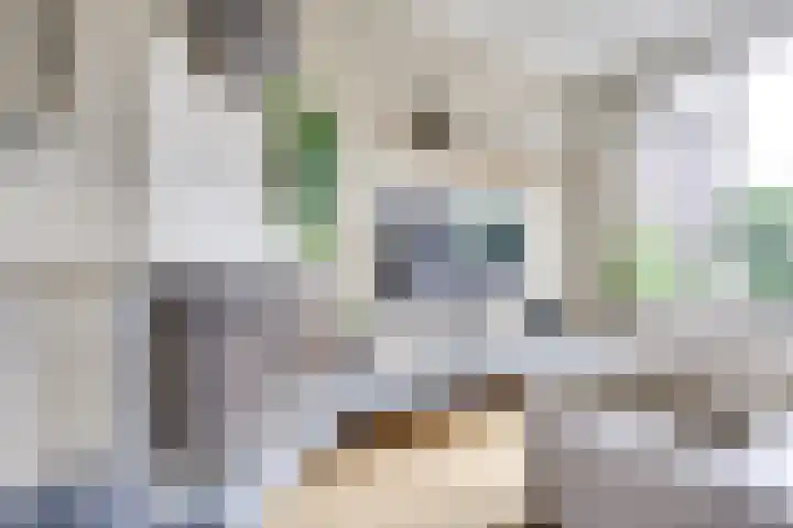 Vogelweide 95 Doorn thumbnail 9