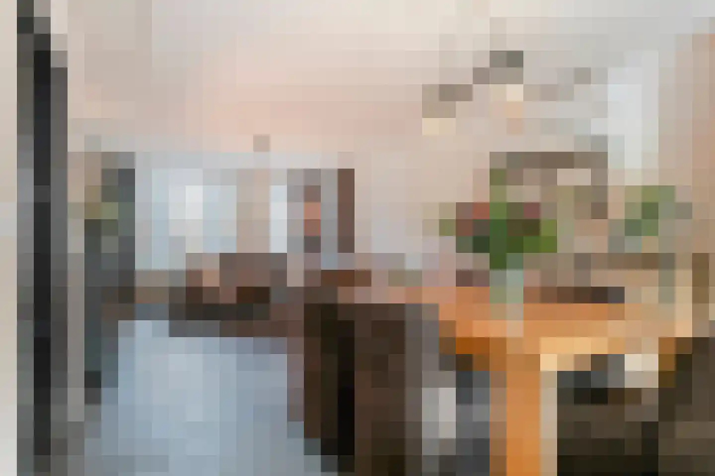 Vogelwikke 12 Bladel thumbnail 13