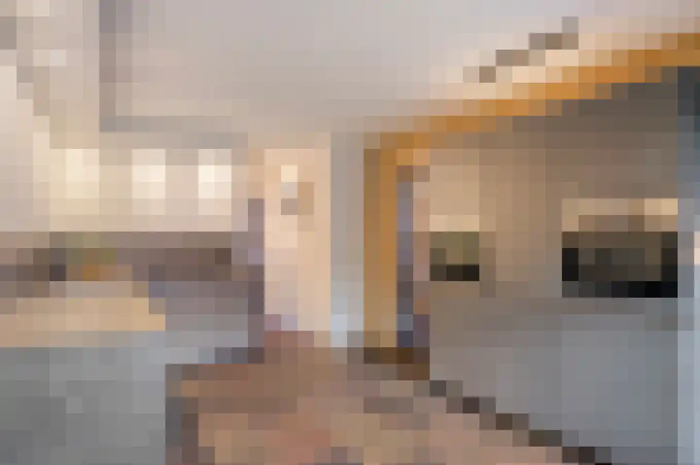 Vogelwikke 12 Bladel thumbnail 15