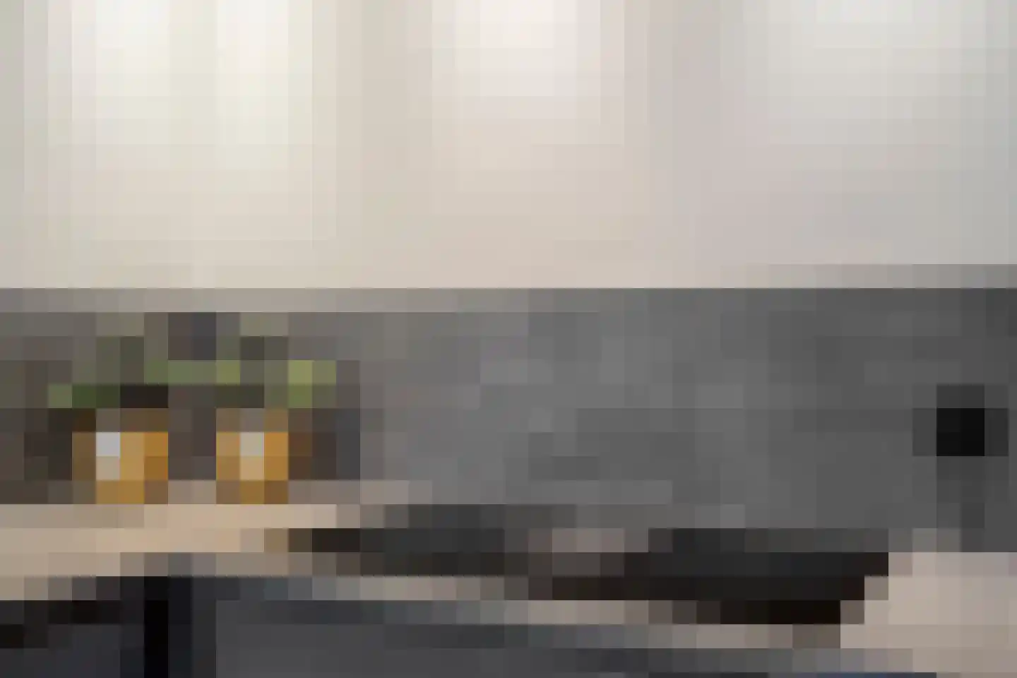 Vogelwikke 12 Bladel thumbnail 17