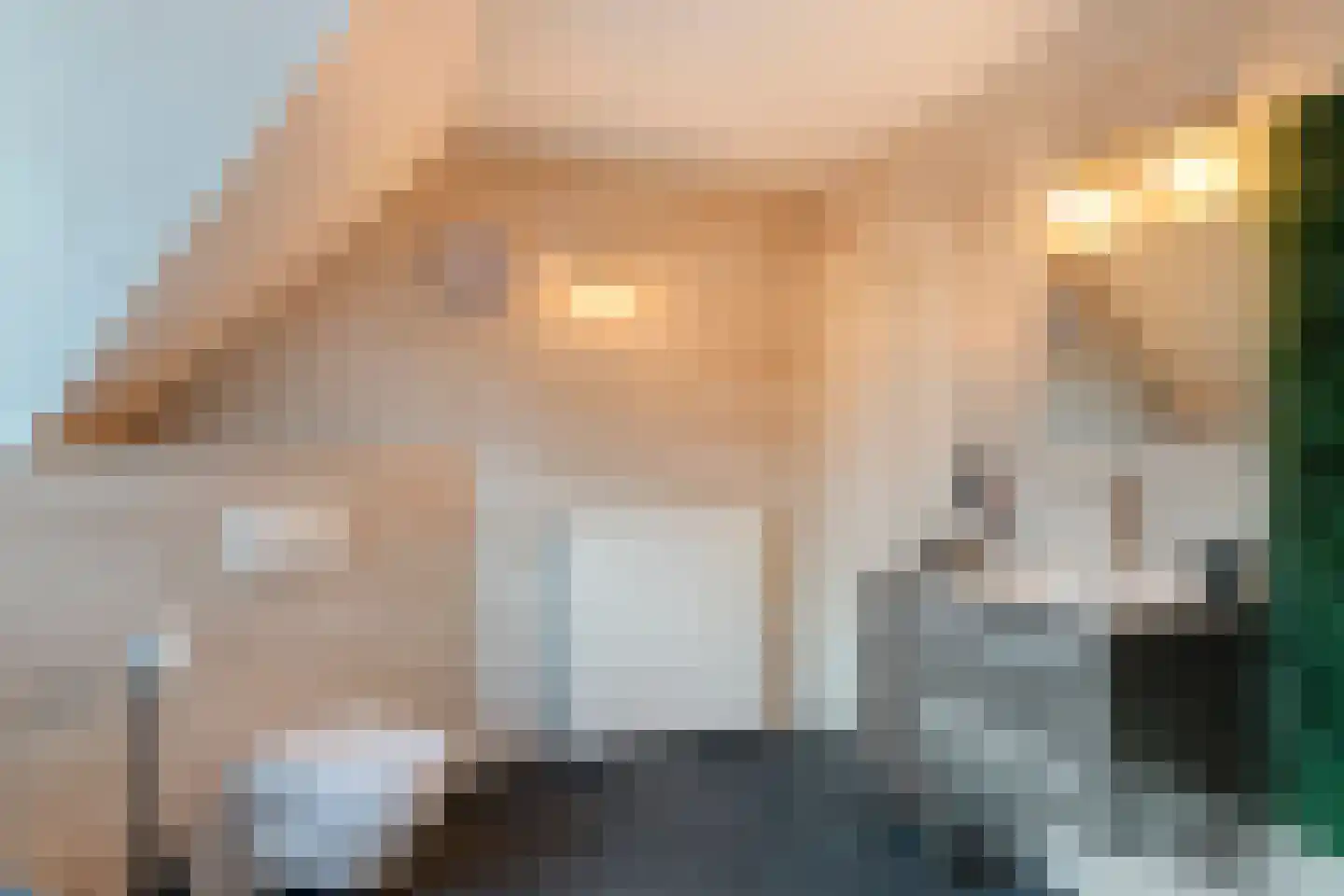 Vogelwikke 12 Bladel thumbnail 40