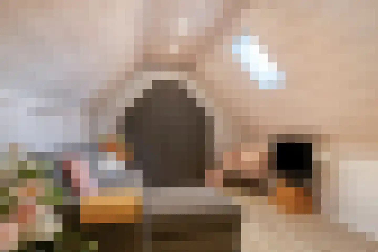 Vogelwikke 12 Bladel thumbnail 41